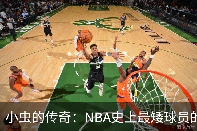小虫的传奇：NBA史上最矮球员的辉煌岁月